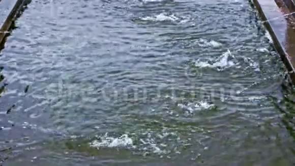 从喷泉里出来的水从急流和池塘里倾泻而来视频的预览图