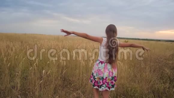 女孩张开双臂像翅膀一样穿过田野慢动作视频的预览图