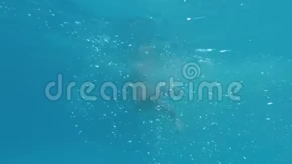 泳池中的水下少女乐趣视频的预览图
