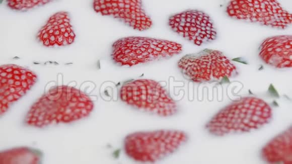 把新鲜草莓放进牛奶里夏季浆果白色奶油视频的预览图