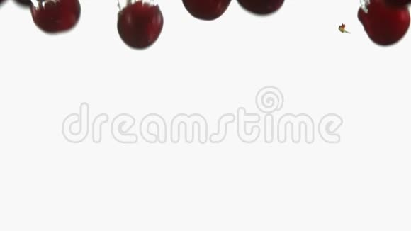 在干净的白色背景下将成熟樱桃倒入水中液态红色浆果视频的预览图
