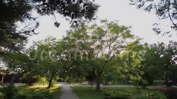 城市公园有树木和人行道供行人使用视频的预览图