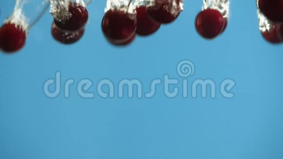 在蓝色背景下成熟的樱桃会掉进水里液态红色浆果视频的预览图