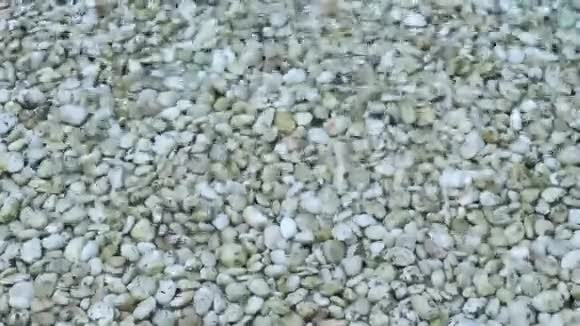 小溪流水中的卵石视频的预览图