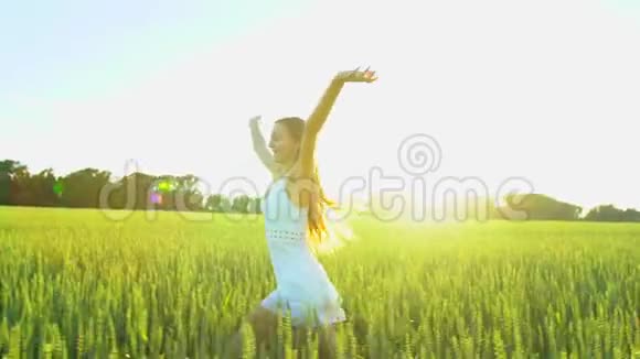 美丽的女孩在日落时在麦田里跑着玩自由健康幸福的理念快乐的年轻女子视频的预览图