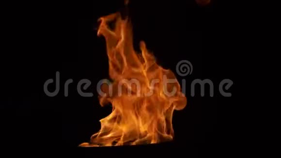 黑夜中的火焰视频的预览图