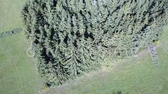 法国云杉林和比利牛斯草甸的鸟瞰图视频的预览图