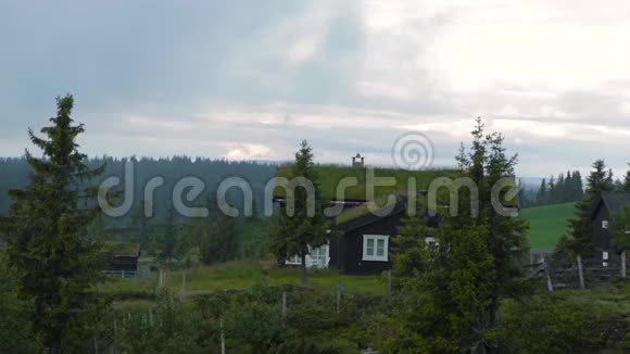 挪威典型的草屋顶乡村住宅视频的预览图