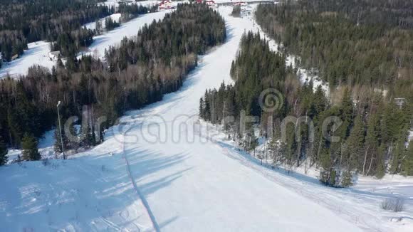 滑雪场背景下滑雪坡的俯视图录像美丽的滑雪场景观和茂密的云杉林视频的预览图