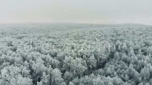 冰冻森林航空飞越冬季森林的空中飞行视频的预览图