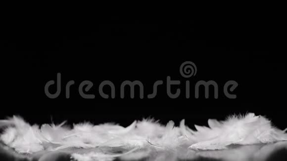 白色的羽毛在黑色背景下随风飞舞视频的预览图