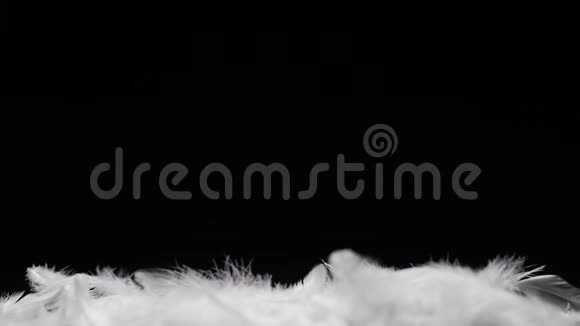 白色的羽毛在黑色的背景下迎风飞翔视频的预览图