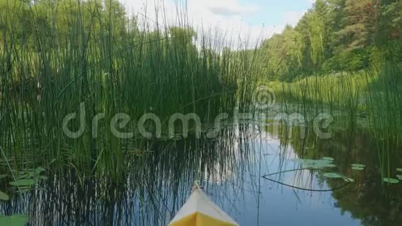 在沃里亚河上划独木舟的一对夫妇在水中生长着茂密的绿色植物视频的预览图
