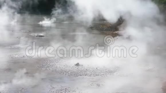 热泥池地热新西兰视频的预览图