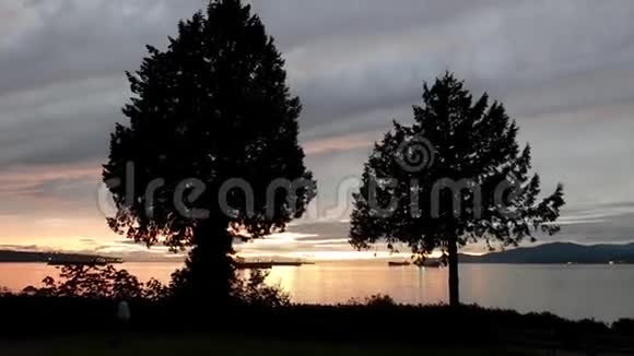 赤柱公园美丽的日落景色视频的预览图