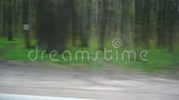 汽车车窗外的树视频的预览图