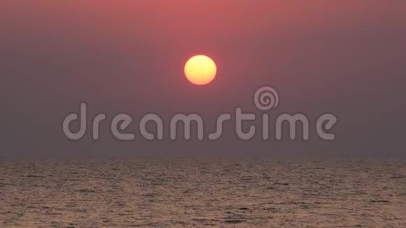 黎明时分鸟儿在海面升起的太阳的背景下飞翔视频的预览图