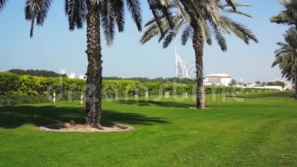 迪拜阿联酋2018年1月20日伯杰阿拉夫在背景上棕榈和草坪视频的预览图