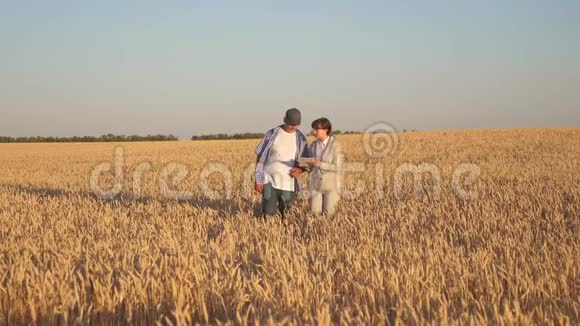 农夫把小麦卖给一个商人商业女性与平板电脑和农民团队在麦田商务视频的预览图