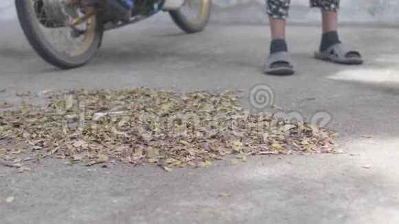 不明身份的女人在公园里用扫帚扫树叶视频的预览图