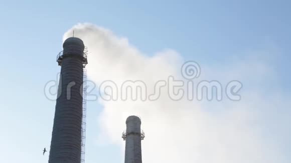 工厂管道烟来自工厂管道空气污染工厂管道顶着蓝天晴天视频的预览图