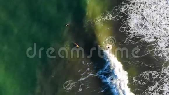 冲浪者入海的鸟瞰图视频的预览图