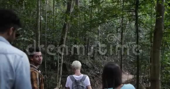 游客徒步旅行森林小径背包客在森林中旅行的朋友团体的后后景视频的预览图