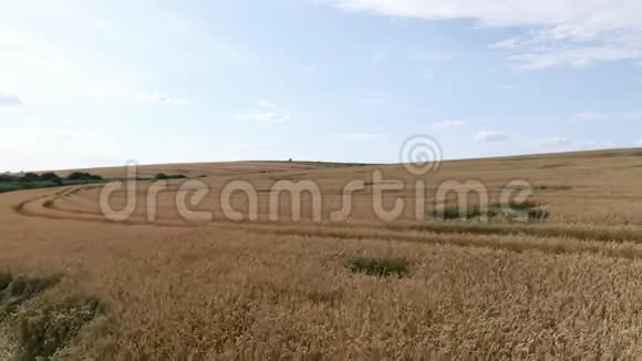摄像机挂在田野上显示收割机收割机割草麦田视频的预览图