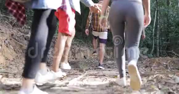 人们在森林中成群散步游客在森林中谈论徒步旅行路线将种族之友和徒步旅行结合在一起视频的预览图