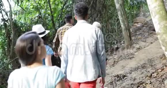 一群游客在森林后景徒步旅行者和青年旅人一起徒步旅行视频的预览图