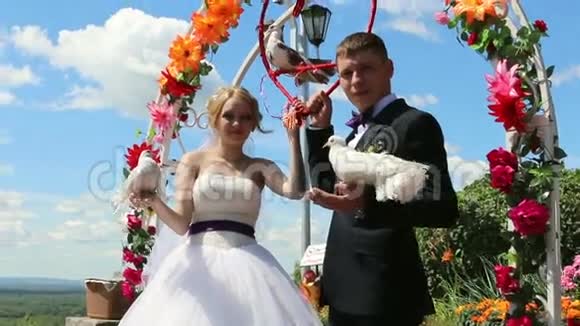 新娘和新郎白鸽视频的预览图
