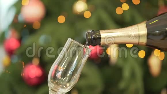 特写香槟倒入酒杯背景上的圣诞树将香槟倒入玻璃的特写镜头视频的预览图
