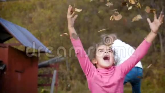 两个小女孩扔秋叶孩子们在秋天的花园里玩耍落叶秋天的户外乐趣4k60fps视频的预览图