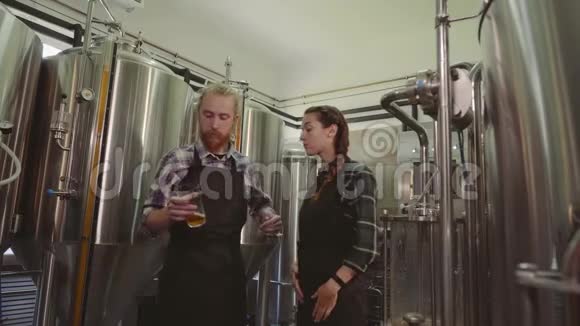 酿酒工人看着玻璃管里刚做的啤酒讨论着它男女啤酒制造商在视频的预览图