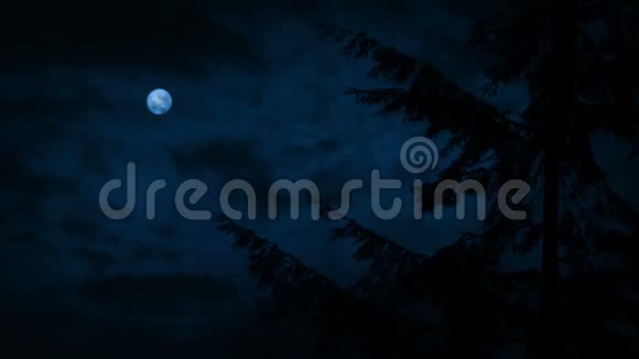 乌云密布的夜晚狂风中的树视频的预览图