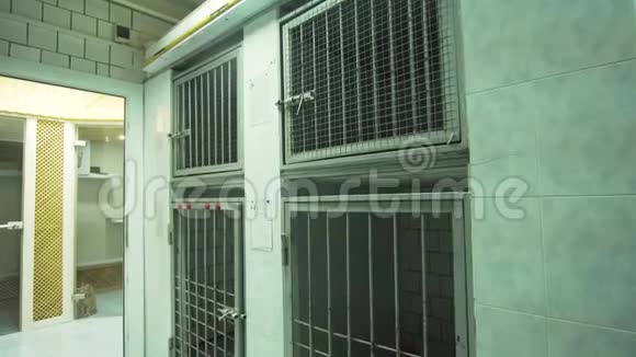 手术后狗被关在笼子里视频的预览图