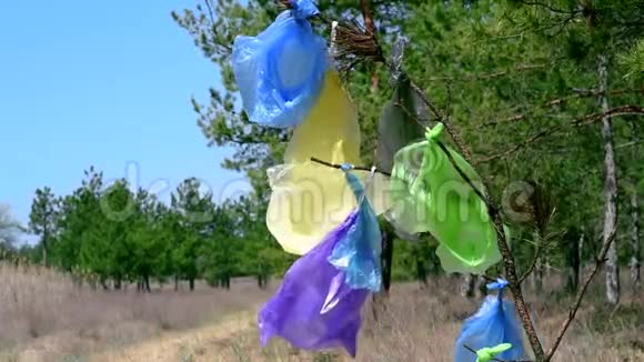 塑料袋挂在森林中央的树枝上视频的预览图