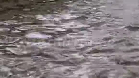 河水在扰动的河面上翻腾视频的预览图