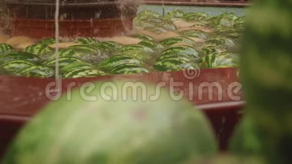 喷泉中的西瓜景观视频的预览图