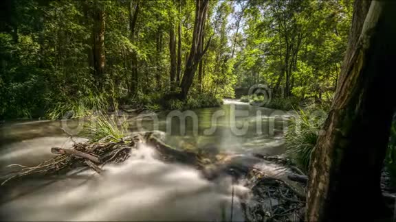 在茂密的森林中河流时间随着瀑布而流逝视频的预览图