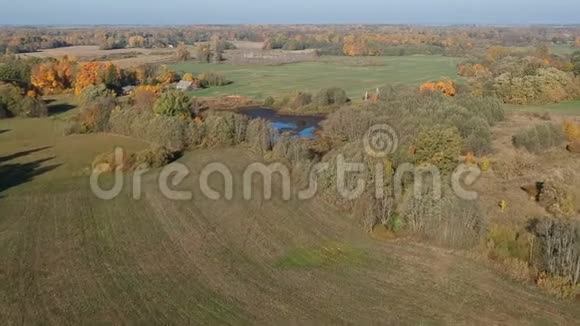 秋天的农田有池塘和十月的树林空中视频的预览图
