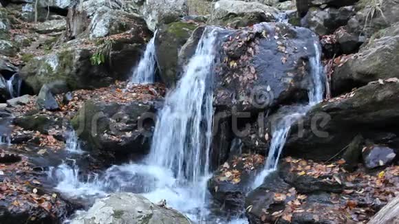 在ShenandoahNationall公园跑步瀑布视频的预览图