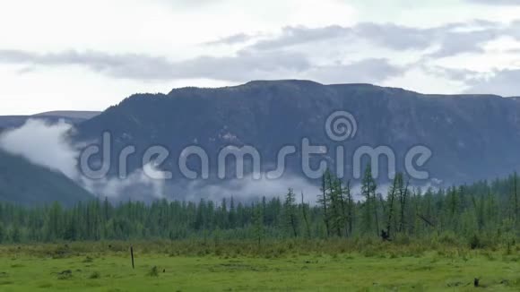 夏天的早晨云和雾在森林和山脉上移动超高清4k宽射视频的预览图