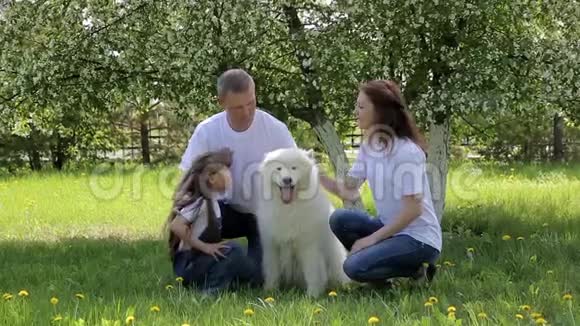 一家三口在公园里和一只大狗散步视频的预览图