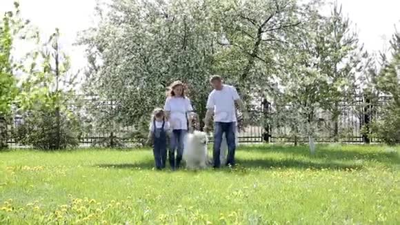一家三口在公园里和一只大狗散步视频的预览图