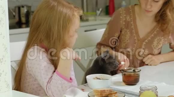 一个小女孩正在家里的厨房里吃粥喂她的猫视频的预览图