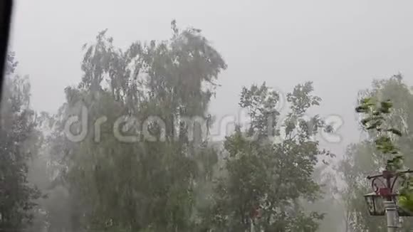 强烈的风暴和恶劣的天气从公寓窗户强风强雨凉爽的坏天气镜头视频的预览图