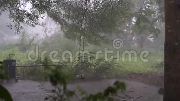 热带雨林中绿色丛林的全景绿色丛林树和棕榈树雾和热带雨空荡视频的预览图