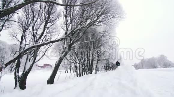 孤独的男人在大雪中慢跑穿过冬林视频的预览图