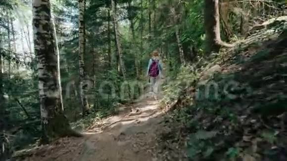 在一个阳光明媚的日子里美丽的年轻旅游女孩带着一个背包时尚的女人穿过森林背景视频的预览图
